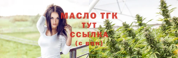 молекула духа Алексеевка