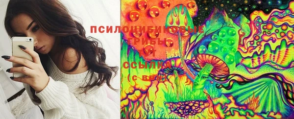 молекула духа Алексеевка