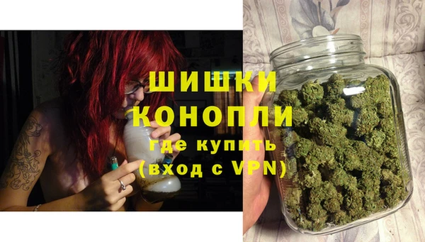индика Анжеро-Судженск
