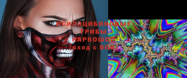 молекула духа Алексеевка