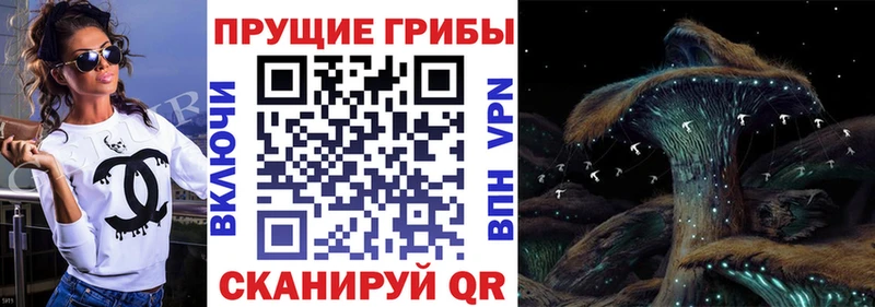 Псилоцибиновые грибы прущие грибы  где купить наркотик  Бикин 
